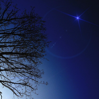 the role of iron in stellar death