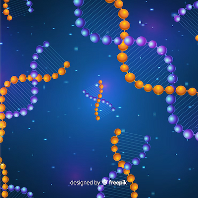 alternative genetic codes: theoretical possibilities