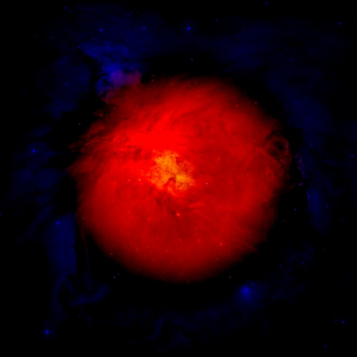The Life of a Red Dwarf Star